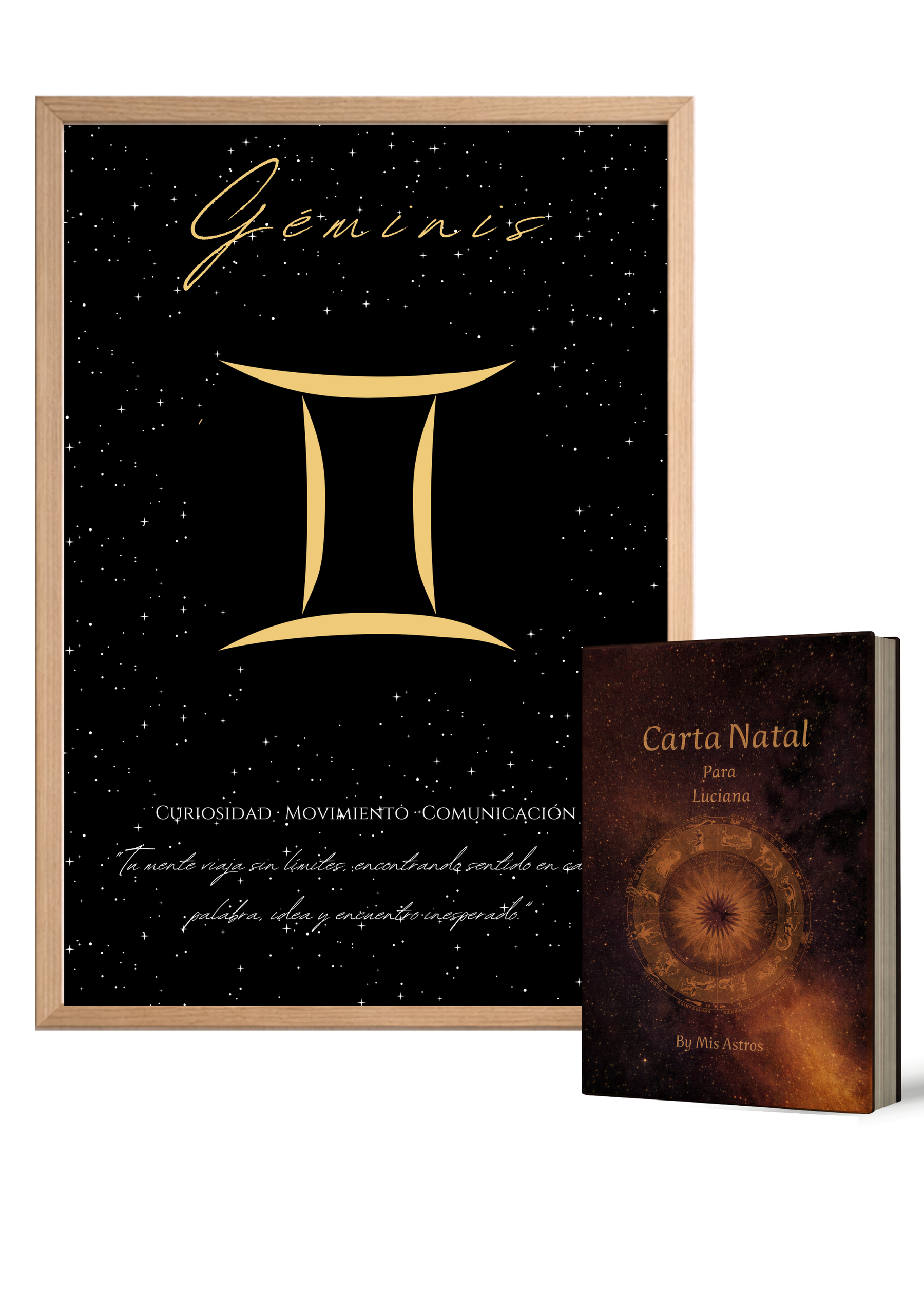 geminis-libro - ES