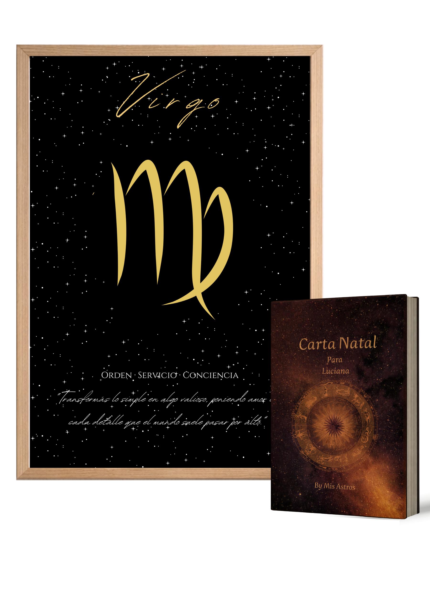 virgo-libro - ES
