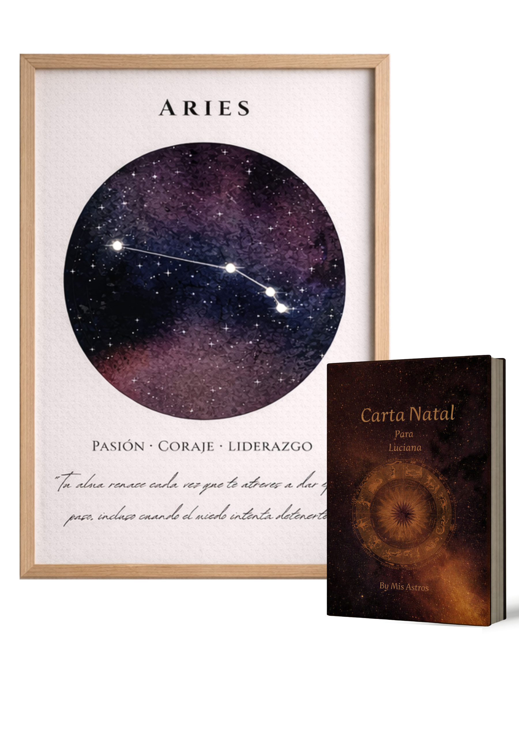 aries-libro