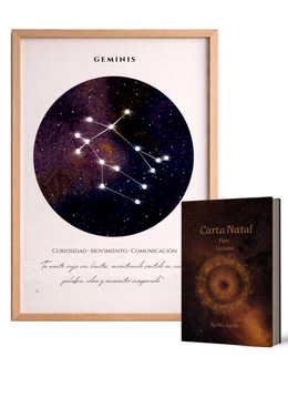 geminis-libro