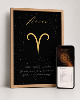 aries-digital - EN