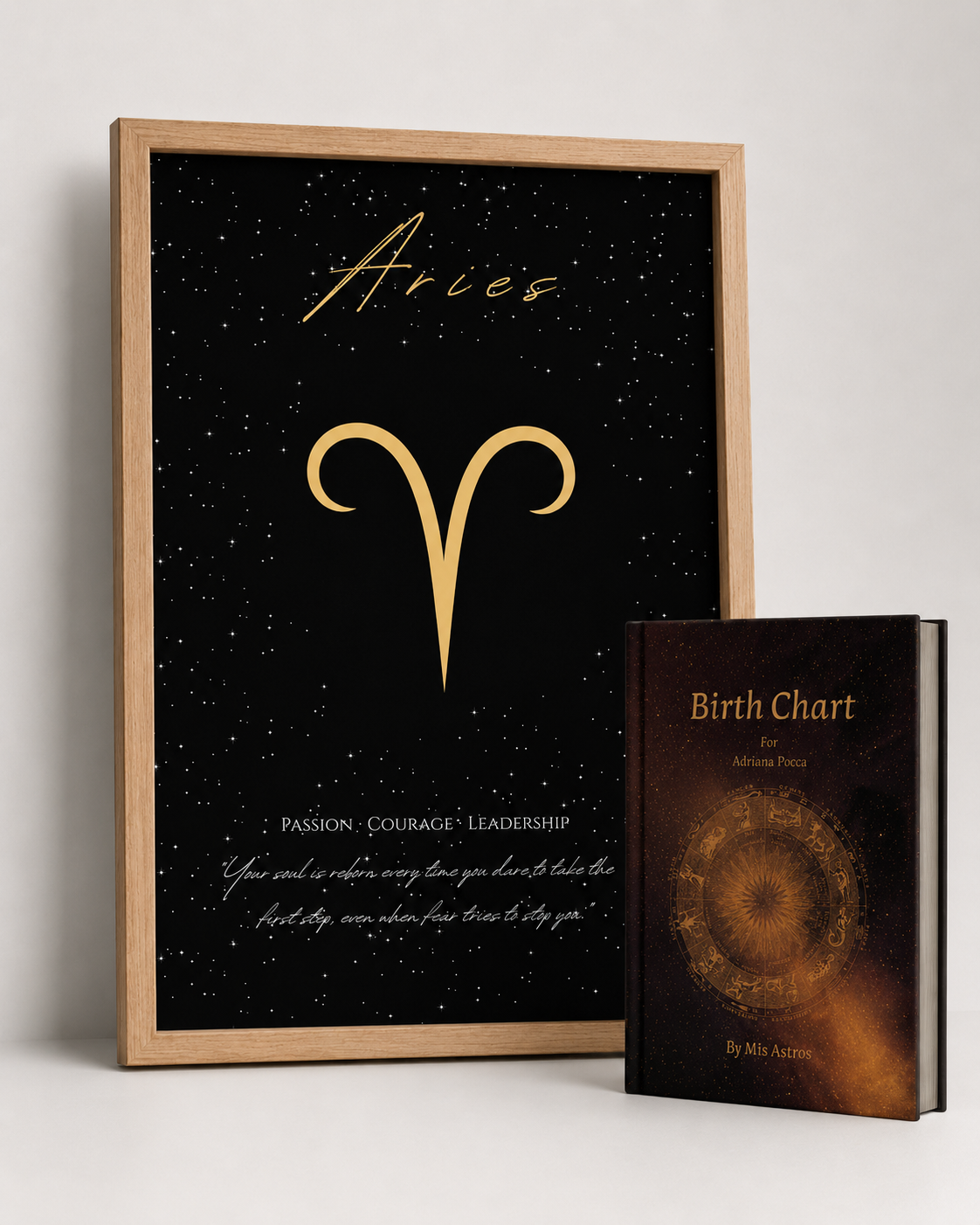 aries-libro - EN